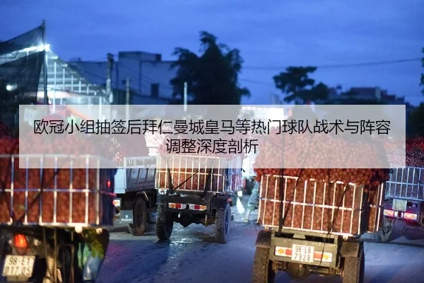 欧冠小组抽签后拜仁曼城皇马等热门球队战术与阵容调整深度剖析