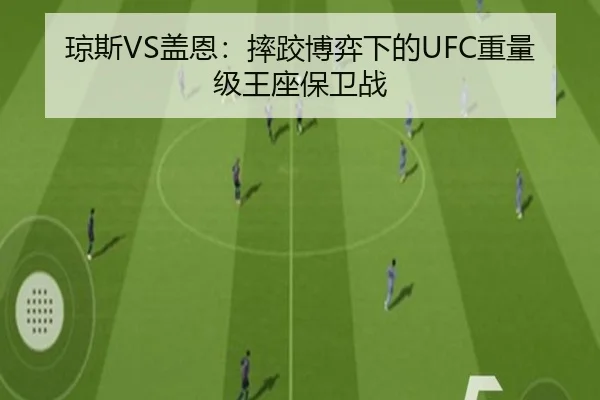 琼斯VS盖恩：摔跤博弈下的UFC重量级王座保卫战