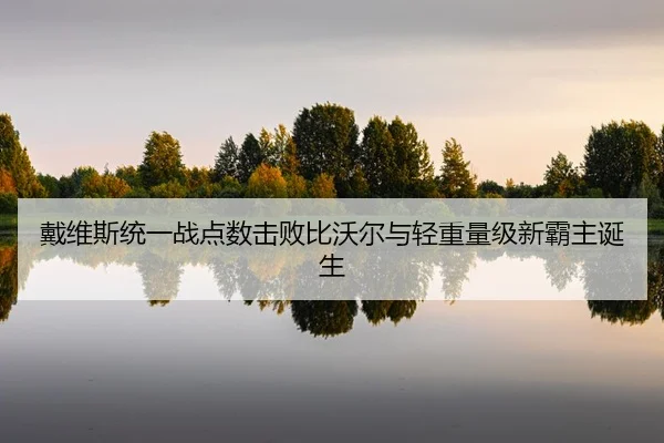 dai-wei-si-tong-yi-zhan-dian-shu-ji-bai-bi-wo-er-yu-qing-zhong-liang-ji-xin-ba-zhu-dan-sheng-2-828.jpg