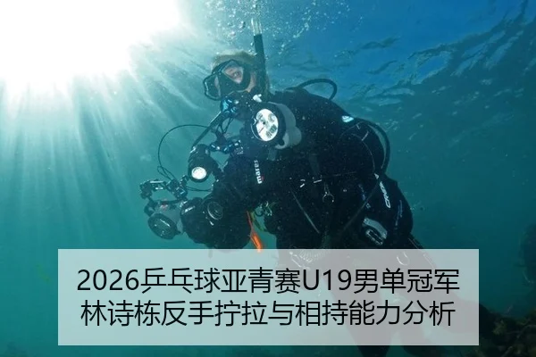 2026乒乓球亚青赛U19男单冠军林诗栋反手拧拉与相持能力分析